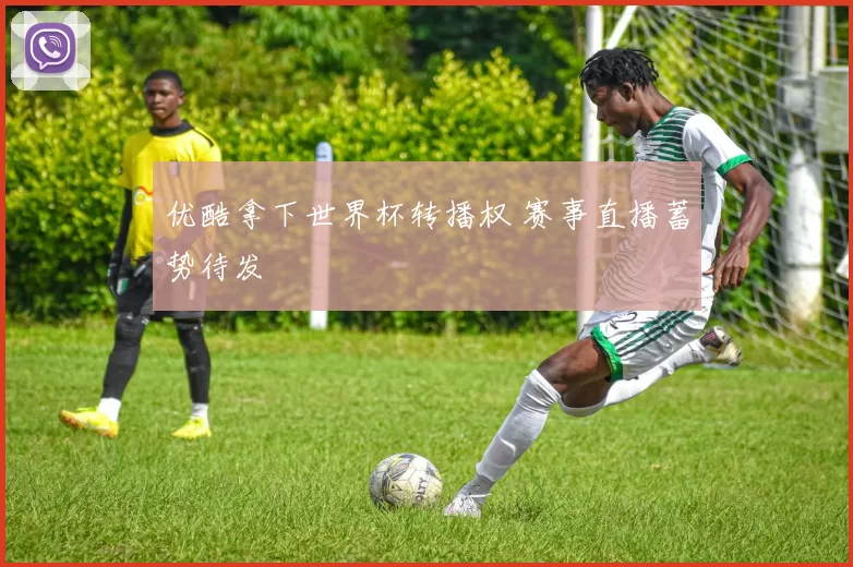 优酷拿下世界杯转播权 赛事直播蓄势待发