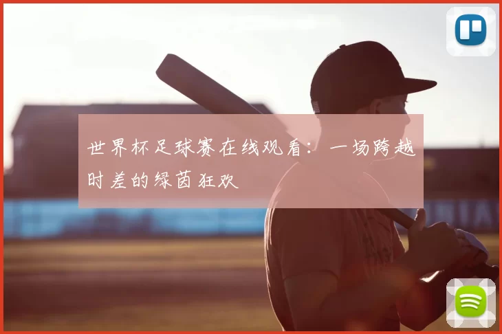 世界杯足球赛在线观看：一场跨越时差的绿茵狂欢