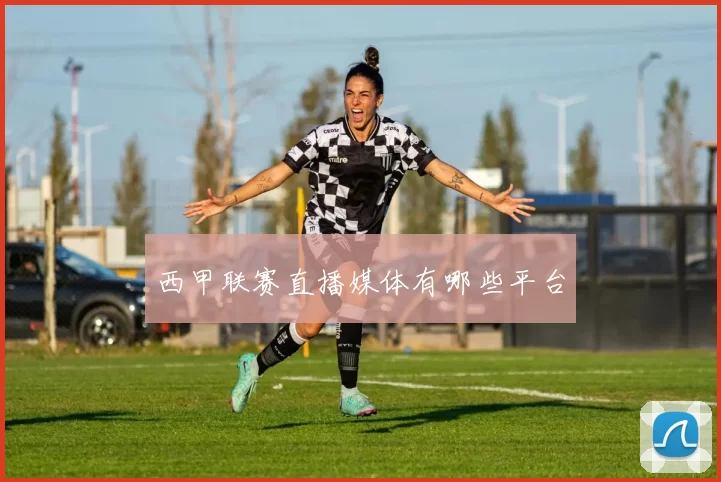西甲联赛直播媒体有哪些平台