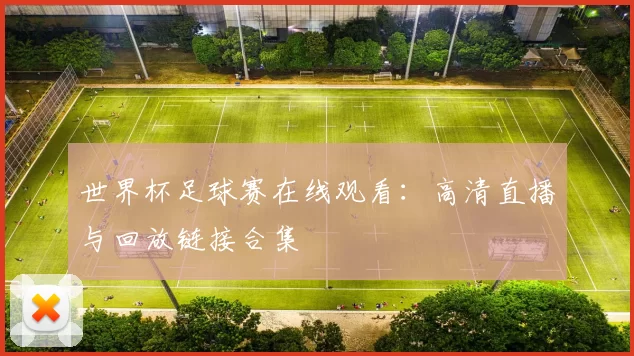 世界杯足球赛在线观看：高清直播与回放链接合集