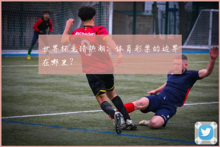世界杯竞猜热潮：体育彩票的边界在哪里？