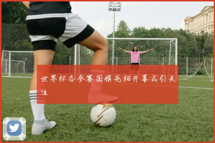 世界杯各参赛国旗亮相开幕式引关注
