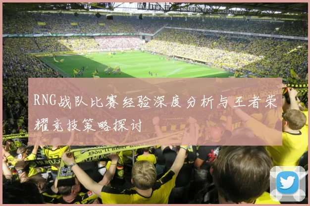 RNG战队比赛经验深度分析与王者荣耀竞技策略探讨