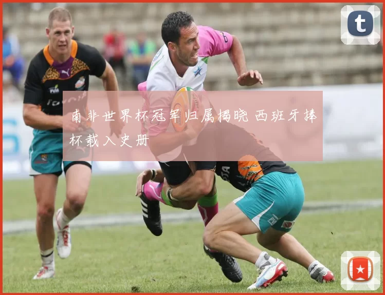 南非世界杯冠军归属揭晓 西班牙捧杯载入史册