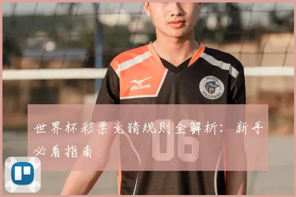 世界杯彩票竞猜规则全解析：新手必看指南