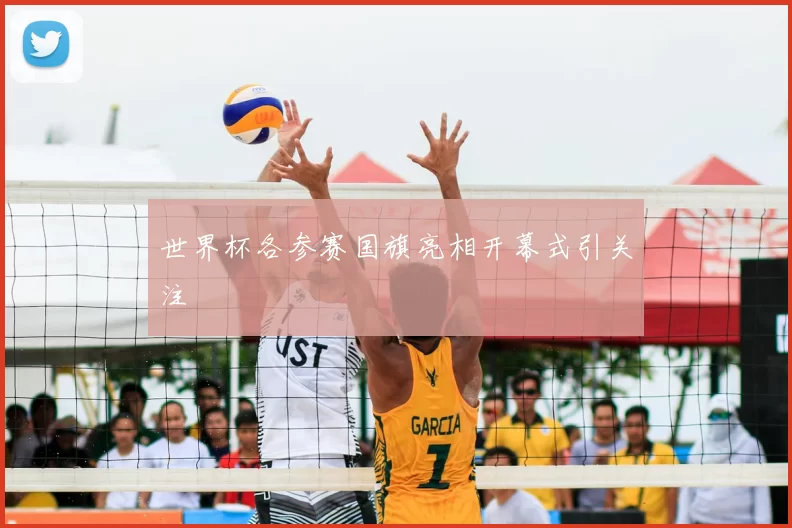 世界杯各参赛国旗亮相开幕式引关注