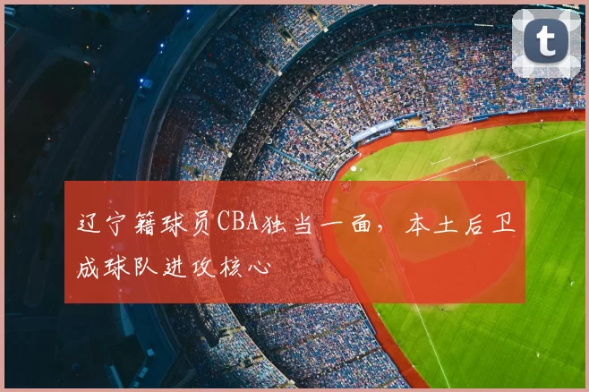 辽宁籍球员CBA独当一面，本土后卫成球队进攻核心